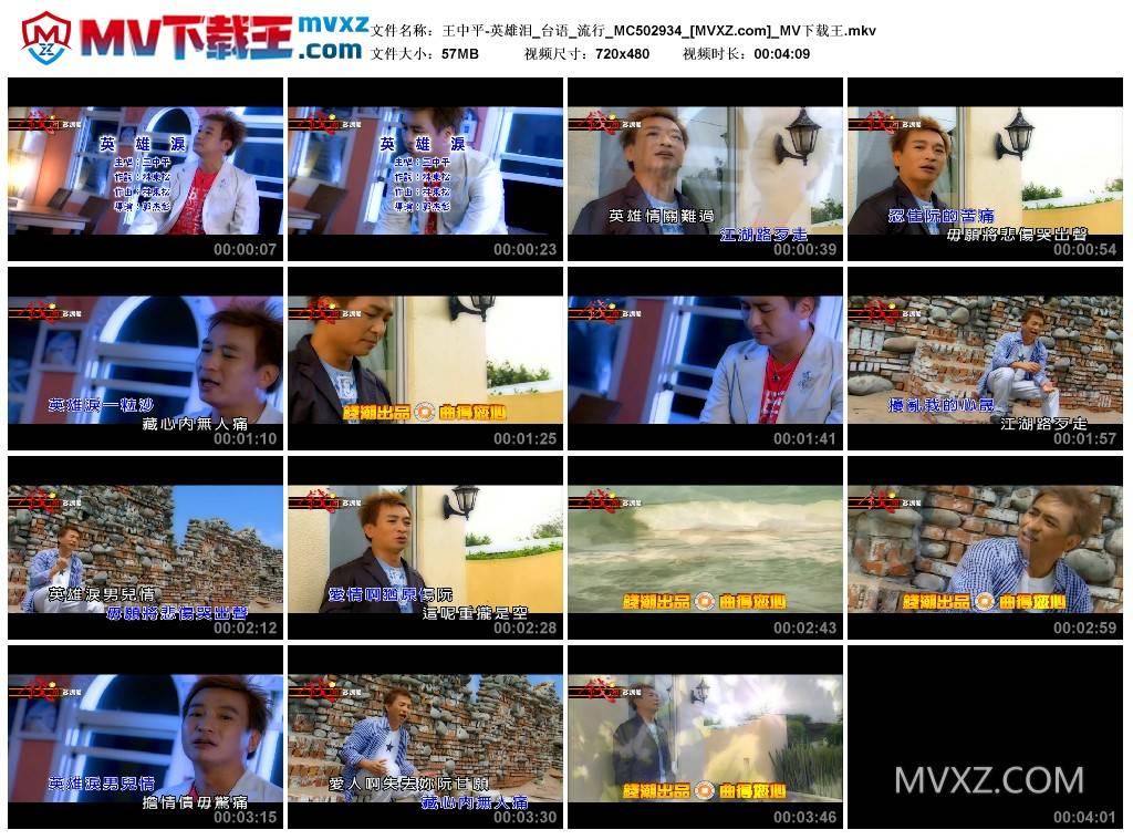 王中平-英雄泪_台语_流行_MC502934